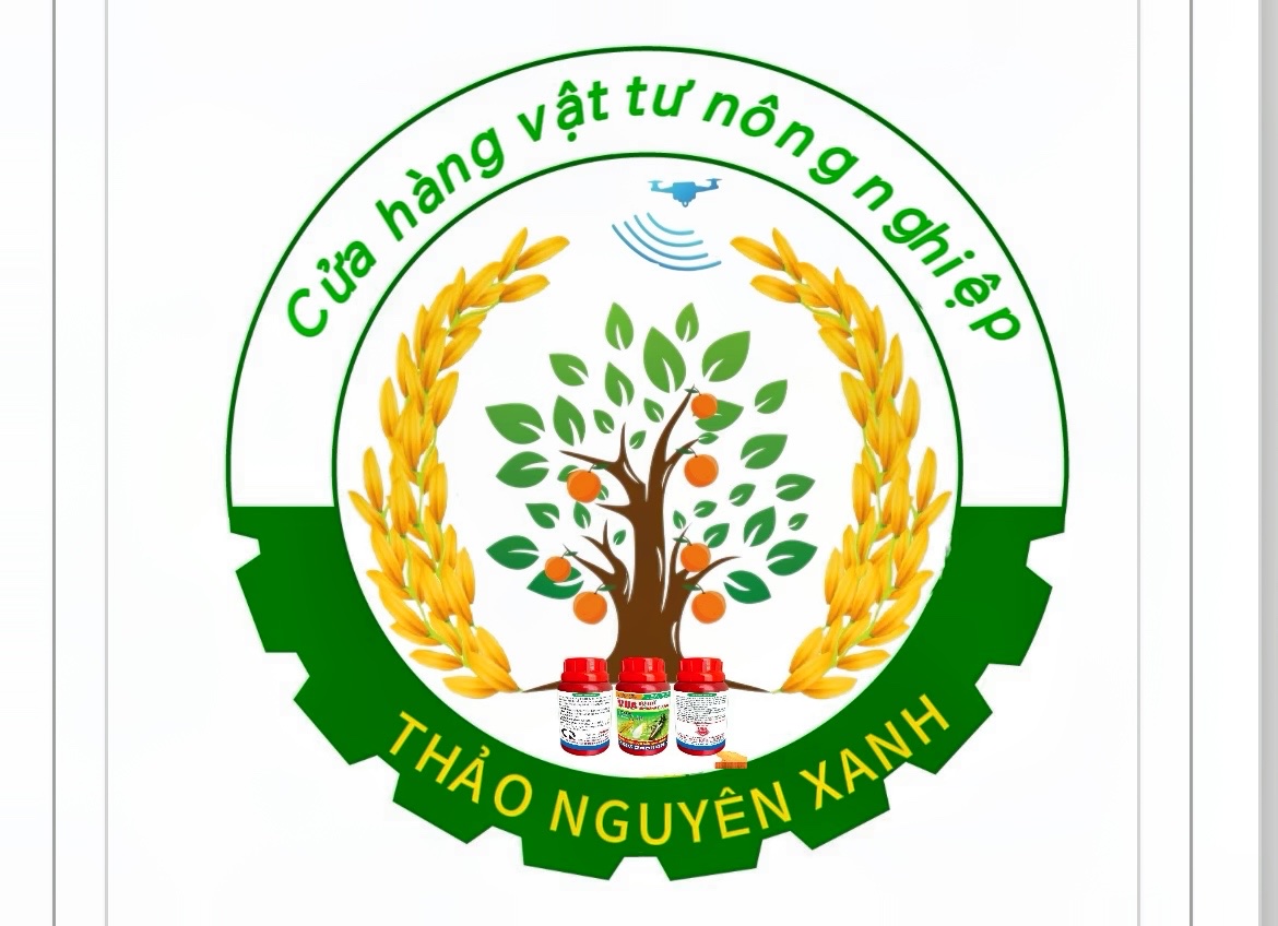 Giới Thiệu