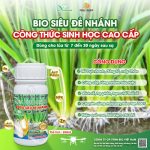 Bio Siêu Đẻ Nhánh4