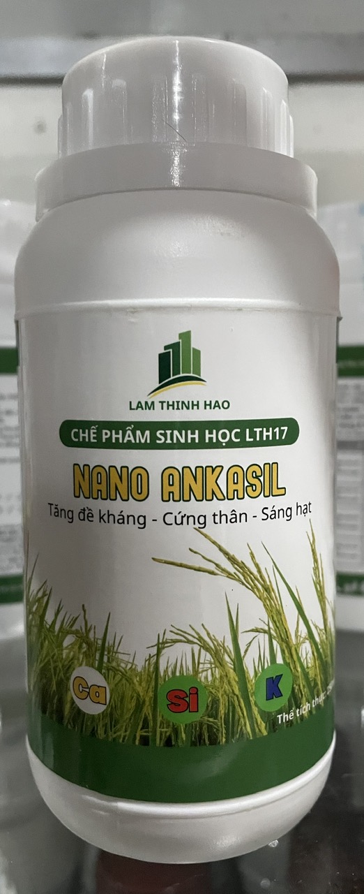 Nano ANKASIL: Siêu Cứng Thân,Vô Gạo Nhanh, Sáng Hạt, Tăng Đề Kháng2