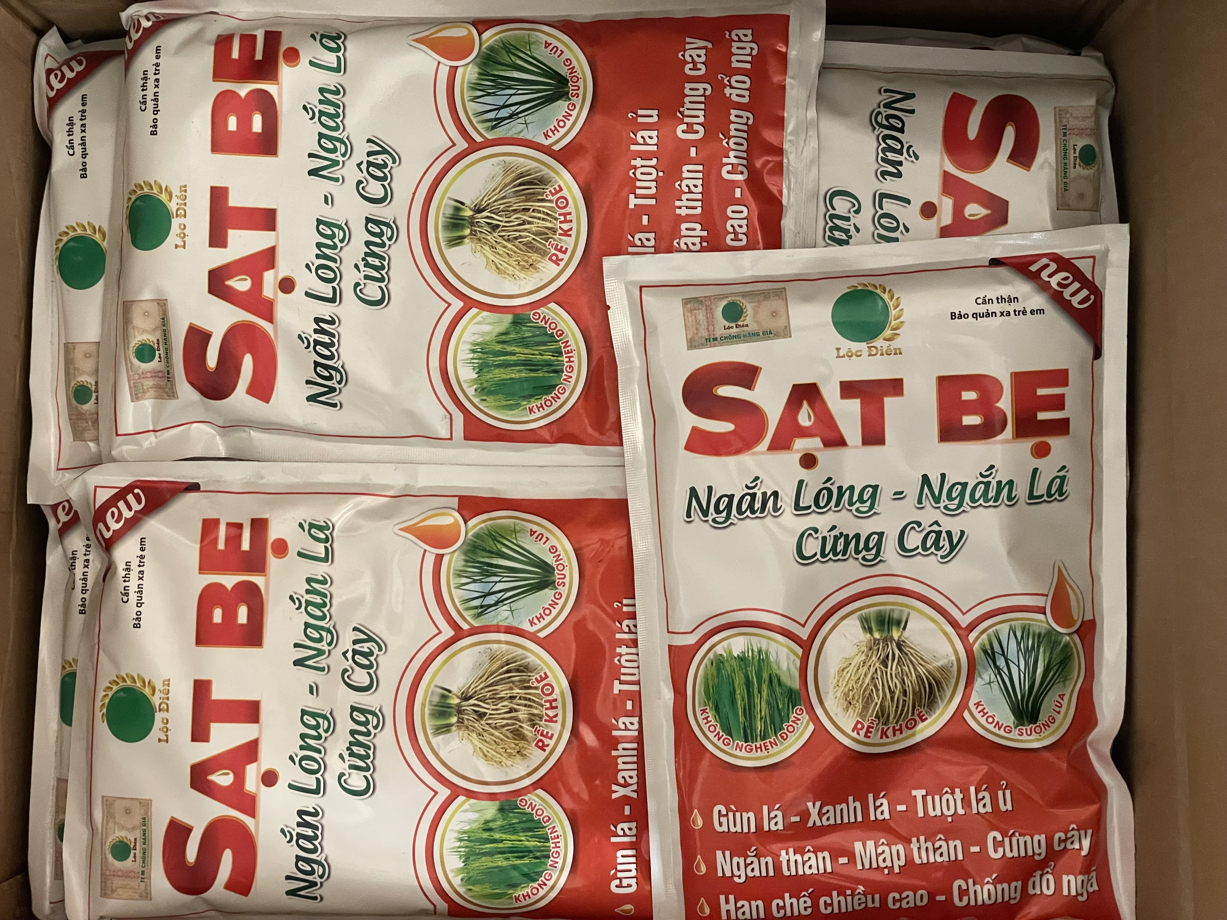 SẠT BẸ (Ngăn Lóng - Ngắn Lá - Cưng Cây)4