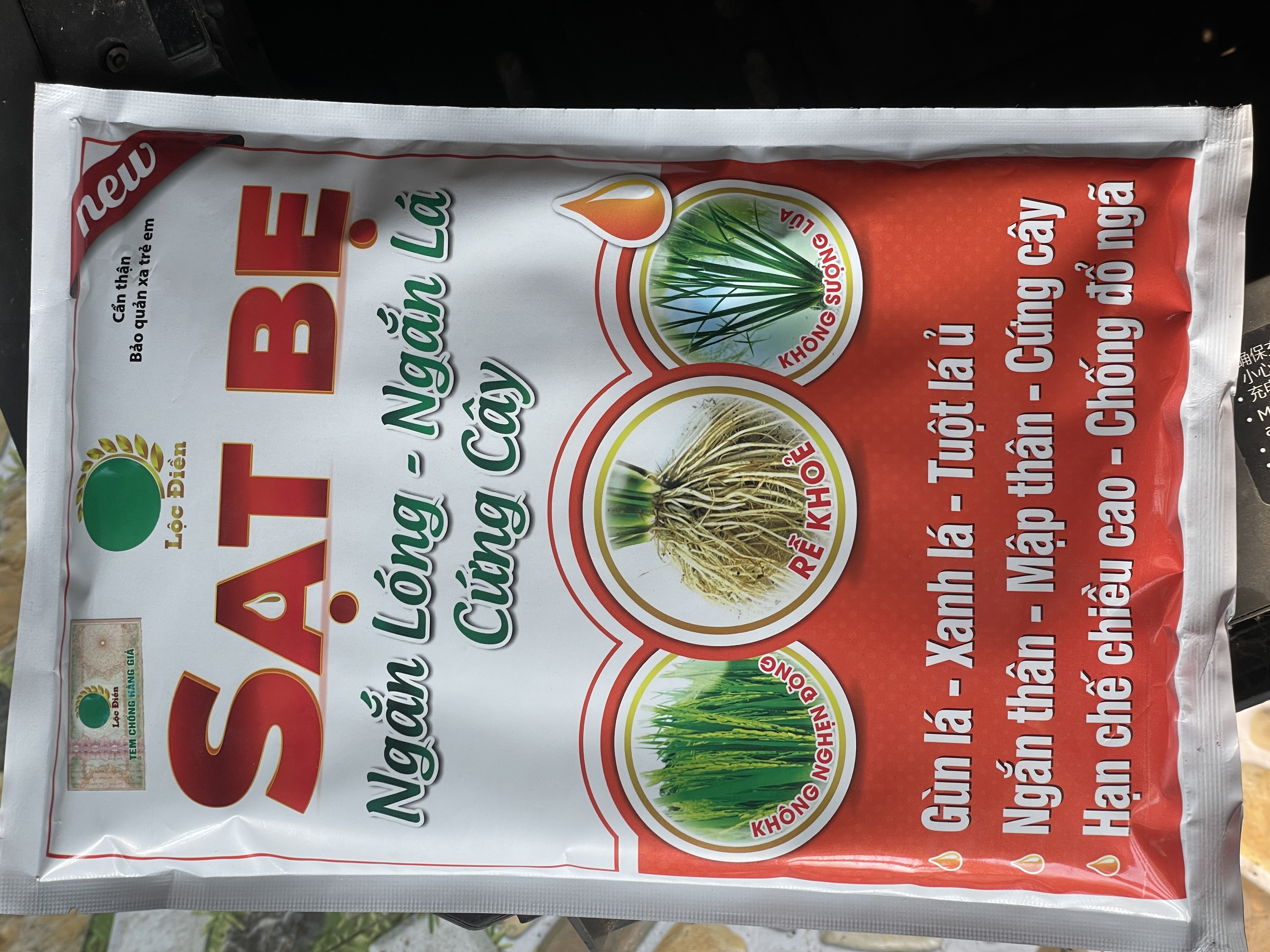 SẠT BẸ (Ngăn Lóng - Ngắn Lá - Cưng Cây)0