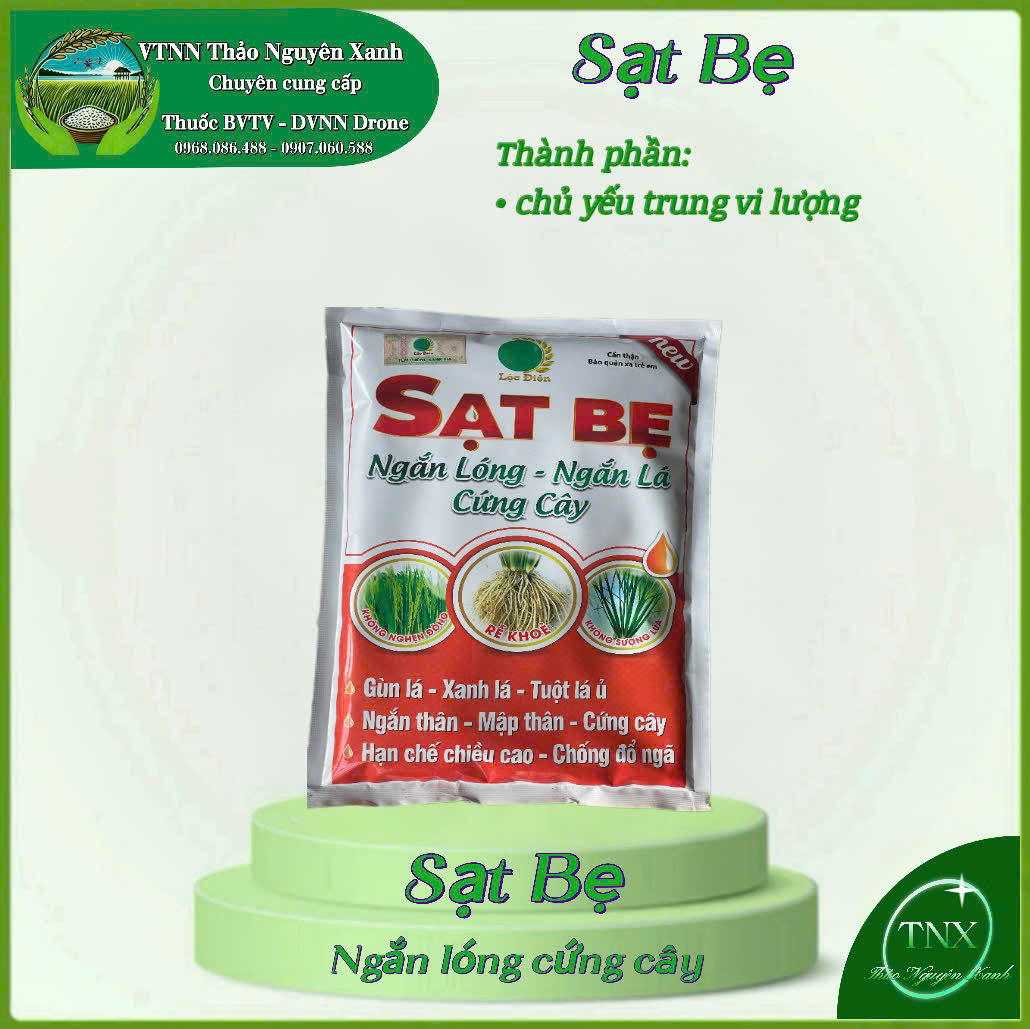 SẠT BẸ (Ngăn Lóng - Ngắn Lá - Cưng Cây)