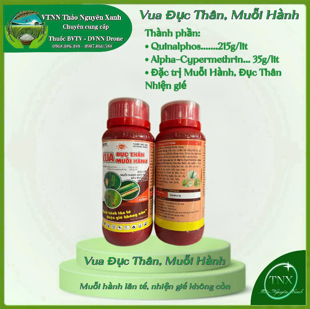 Vua Muỗi Hành: Đặt trị Muỗi Hành Sâu Đụt thân