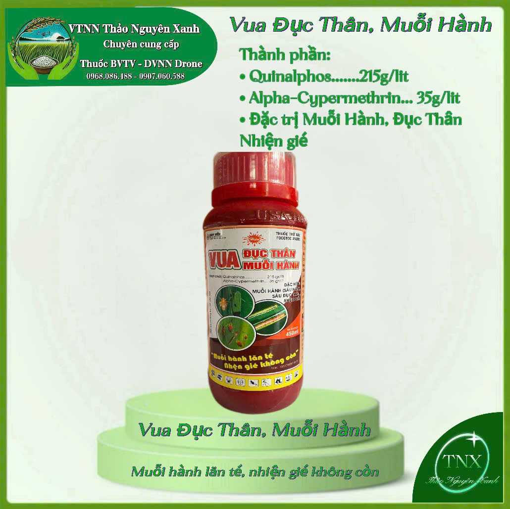 Vua Muỗi Hành: Đặt trị Muỗi Hành Sâu Đụt thân2