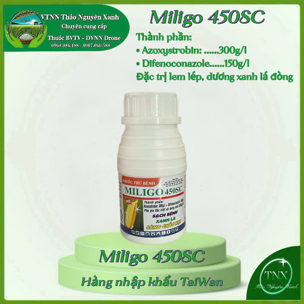 Miligo 450SC - Đặt trị lem lép giữ xanh lá đòng2
