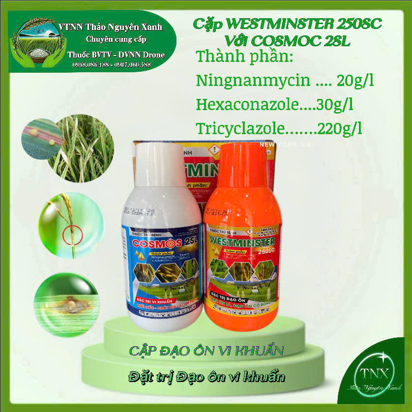 Thuốc Cặp Đạo Ôn Vi Khuẩn  Cosmos 2SL+ Westminster 250SC
