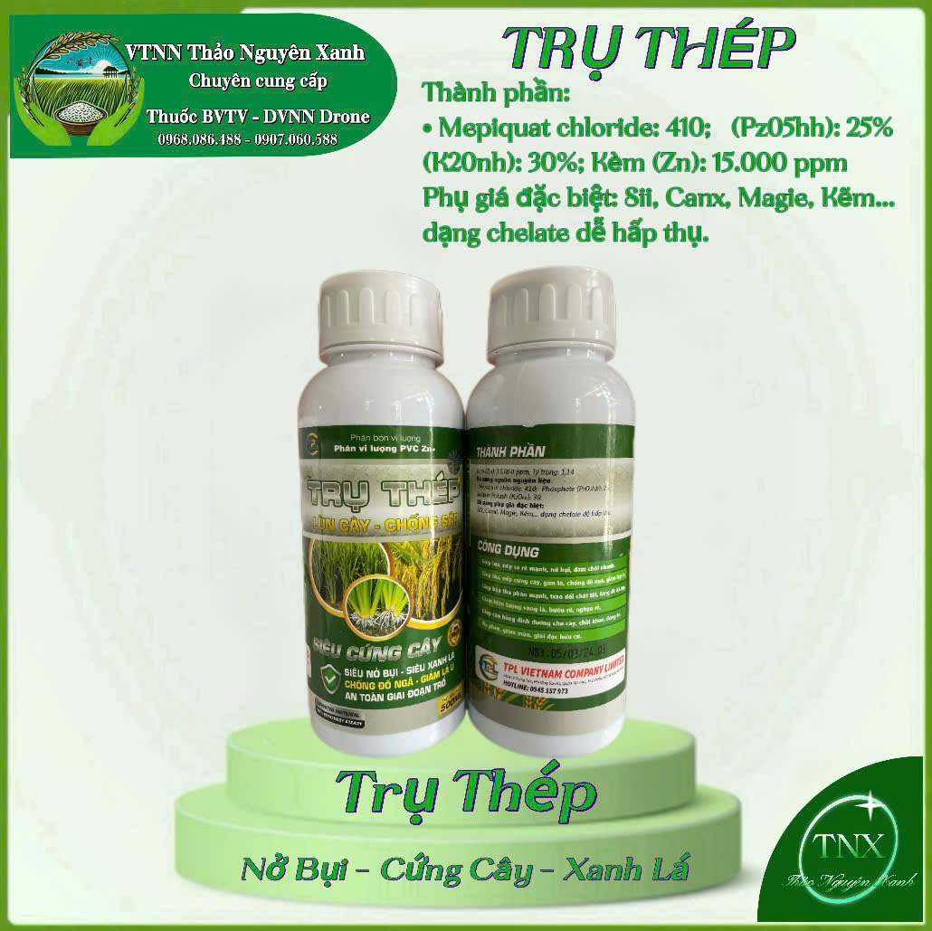 Trụ Thép: Cứng Cây - Đứng Lá - Nhiều Chồi - Chống Đỗ Ngã